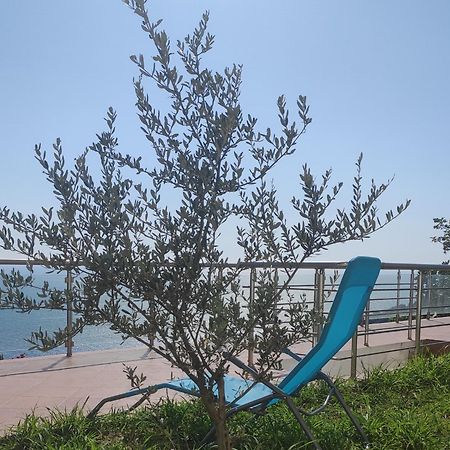 Apartment Oliva 乌尔齐尼 外观 照片